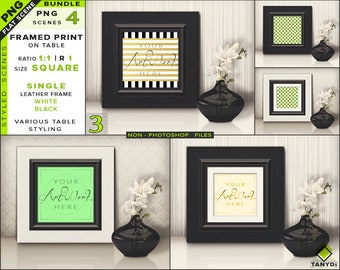 mockup blank
