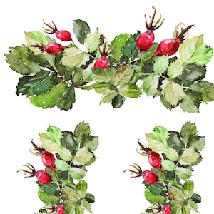 Easy Furniture Transfer - Decor Transfer - Furniture Upcycling - Floral Transfer - Christmas Plant
