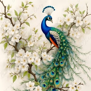Pavo real - Papel para decoupage de muebles - 6 tamaños - Decoupage floral