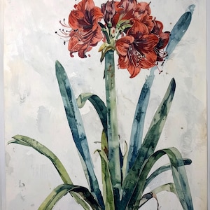 Amarilis - Papel de decoupage para muebles - 7 tamaños - Arte Botánico
