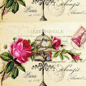 Blumen Vogelkäfig Vintage - Dekoratives Decoupage Papier - für Möbel - Große Größen-Optionen [ Rosa Grün Beige ]