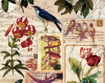 Birds Flowers Vintage Decoupage Paper - Decoupage Art - Large Size Rice Paper for Decoupage - A3 A2 A1