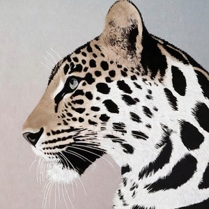 Tigre - Papel de decoupage grande para muebles - Papel de arroz - Papel de decoupage - Monocromo