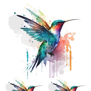 Può includere: Illustrazione ad acquerello di tre colibrì in volo. Gli uccelli presentano colori vivaci, tra cui verde acqua, rosso e giallo, con lunghi becchi e ali spiegate. Schizzi di vernice di vari colori circondano gli uccelli su sfondo bianco.