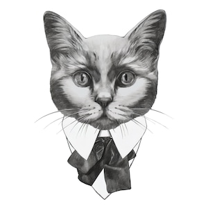 Retrato de gato - Papel decoupage grande para muebles - Papel de arroz para decoupage - Decoupage de animales