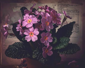 NEW! Chiaroscuro - Large Decoupage Paper for Furniture - 7 Size Options