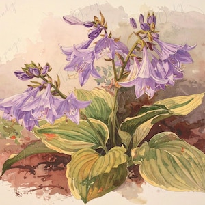 Arte botánico - 7 tamaños - Papel de decoupage grande para muebles - Decoupage floral - Hosta morada