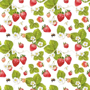 Decoupage grande per mobili - Carta di riso - Decoupage vintage - Carta per decoupage floreale - Frutta estiva Fragola