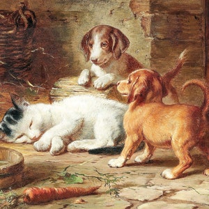 Kitten and Puppies - Decoupage Paper for Furniture - Rice Paper - High Quality Decoupage [Pet Series]