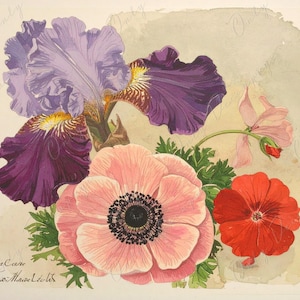 Papel de decoupage para muebles - 7 tamaños - Arte botánico - Decoupage floral - Ramo de flores
