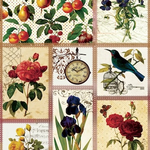 May include: A collage of vintage illustrations featuring a clock, flowers, birds, and a musical score. The images are framed with a brown lace border and set against a white background with brown polka dots.