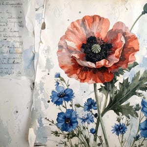 Arte botánico - 7 tamaños - Papel de decoupage grande para muebles - Amapola roja - Flores azules