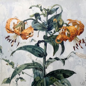 Lilium en acuarela - Papel para decoupage de muebles - 7 tamaños - Arte botánico - Decoupage floral
