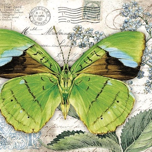Farfalla verde - Carta decorativa per decoupage - Tessuto di gelso - Carta per ristrutturazione - 1 foglio A3