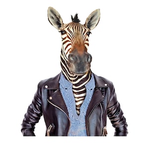 Cebra - Papel decoupage grande para muebles - Papel de arroz para decoupage - Decoupage de animales