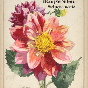 Arte botánico - 7 tamaños - Papel de decoupage grande para muebles - Decoupage floral