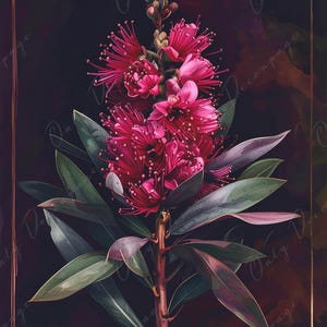NEU! Chiaroscuro - Großes Decoupage Papier für Möbel - 7 Größen Optionen - Purpur - Chiaroscuro