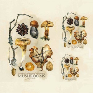Decoupage Paper for Furniture - Rice Paper Decoupage - Large Decoupage Paper Vintage - Mushroom Decoupage