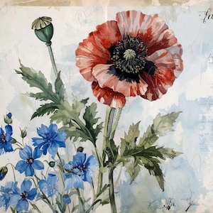 Arte botánico - 7 tamaños - Papel de decoupage grande para muebles - Amapola roja - Flores azules