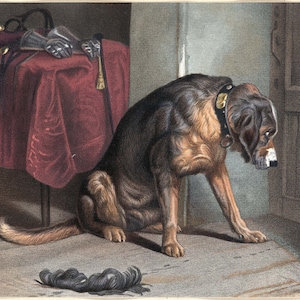 Dog - Decoupage Paper for Furniture - Rice Paper - Large Decoupage [Pet Series]
