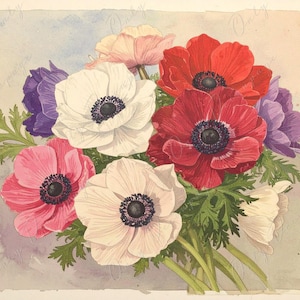 Anémona - Papel de decoupage para muebles - 7 tamaños - Arte botánico - Colores pastel