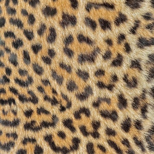 Papel para decoupage de leopardo - Arte para decoupage - Papel de arroz de gran tamaño para decoupage - Transferencias para decoupage - A3 A2 A1 A0