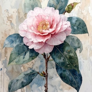 Camelia rosa - Papel de decoupage para muebles - 7 tamaños - Arte botánico