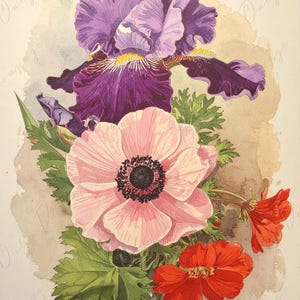 Papel de decoupage para muebles - 7 tamaños - Arte botánico - Decoupage floral con acuarela