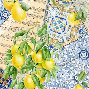 Decoupage grande per mobili - Carta di riso - Decoupage vintage - Carta per decoupage floreale - Frutta al limone