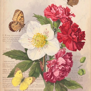 Arte botánico - 7 tamaños - Papel de decoupage grande para muebles - Pintura vintage