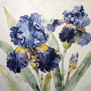 Papel de decoupage para muebles - 7 tamaños - Arte botánico - Flor de iris azul