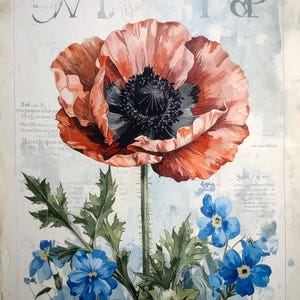 Arte botánico - 7 tamaños - Papel de decoupage grande para muebles - Amapola roja - Flores azules