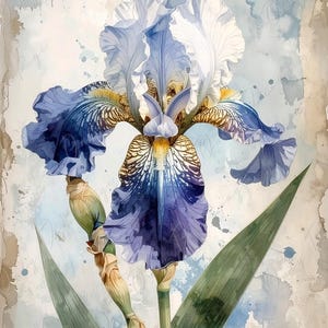 Papel de decoupage para muebles - 7 tamaños - Arte botánico - Flor de iris pastel
