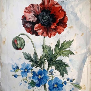 Arte botánico - 7 tamaños - Papel de decoupage grande para muebles - Amapola roja