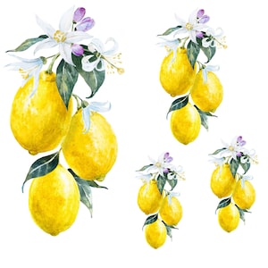 Decoupage Paper for Furniture - Rice Paper Decoupage - Large Decoupage Paper Vintage - Lemon Decoupage