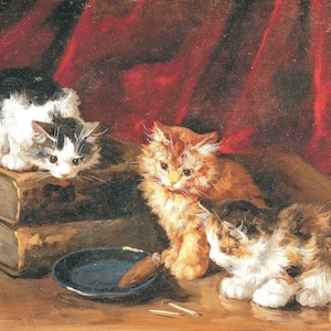Kittens - Decoupage Paper for Furniture - Rice Paper - Large Decoupage [Pet Series]