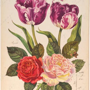 Arte botánico - 7 tamaños - Papel de decoupage grande para muebles - Decoupage floral - Rosas y tulipanes pastel