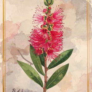 Arte botánico en acuarela - 7 tamaños disponibles - Papel de decoupage grande para muebles - Ilustración floral antigua