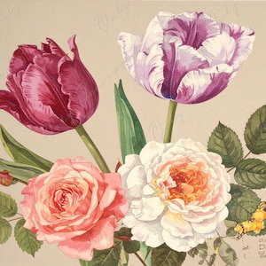 Arte botánico - 7 tamaños - Papel de decoupage grande para muebles - Decoupage floral