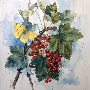Arte botánico en acuarela - 7 tamaños - Papel de decoupage grande para muebles - Decoupage floral - Grosella roja