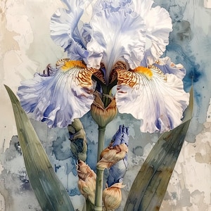 Papel de decoupage para muebles - 7 tamaños - Arte botánico - Flor de iris pastel