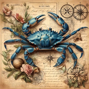 Large Decoupage Paper for Furniture - Blue Crap - Rice Paper - Decoupage Paper - Coastal Life - Compass - Floral