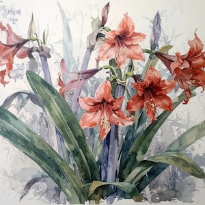 Papel para decoupage de muebles - 7 tamaños - Arte botánico - Decoupage floral rojo - Acuarela