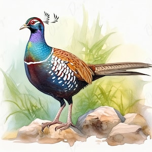 Large Decoupage Paper for Furniture - Pheasant - Rice Paper - Decoupage Paper - Watercolor Bird