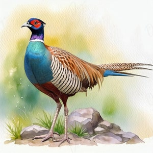 Large Decoupage Paper for Furniture - Pheasant - Rice Paper - Decoupage Paper - Watercolor Bird