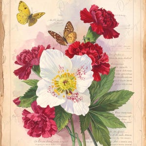 Arte botánico - 7 tamaños - Papel de decoupage grande para muebles - Mariposa