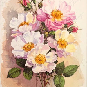 Papel para decoupage de muebles - 7 tamaños - Arte botánico - Decoupage floral