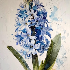 Papel de decoupage para muebles - 7 tamaños - Arte botánico - Decoupage floral - Jacinto azul
