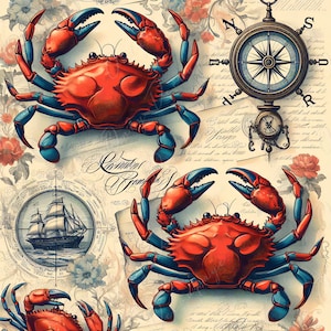 Large Decoupage Paper for Furniture - Blue Crap - Rice Paper - Decoupage Paper - Coastal Life - Compass - Floral