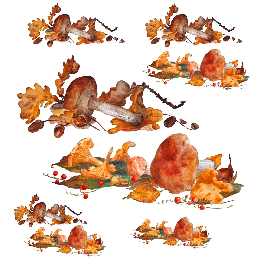 Decoupage Paper for Furniture Rice Paper Decoupage Large Decoupage